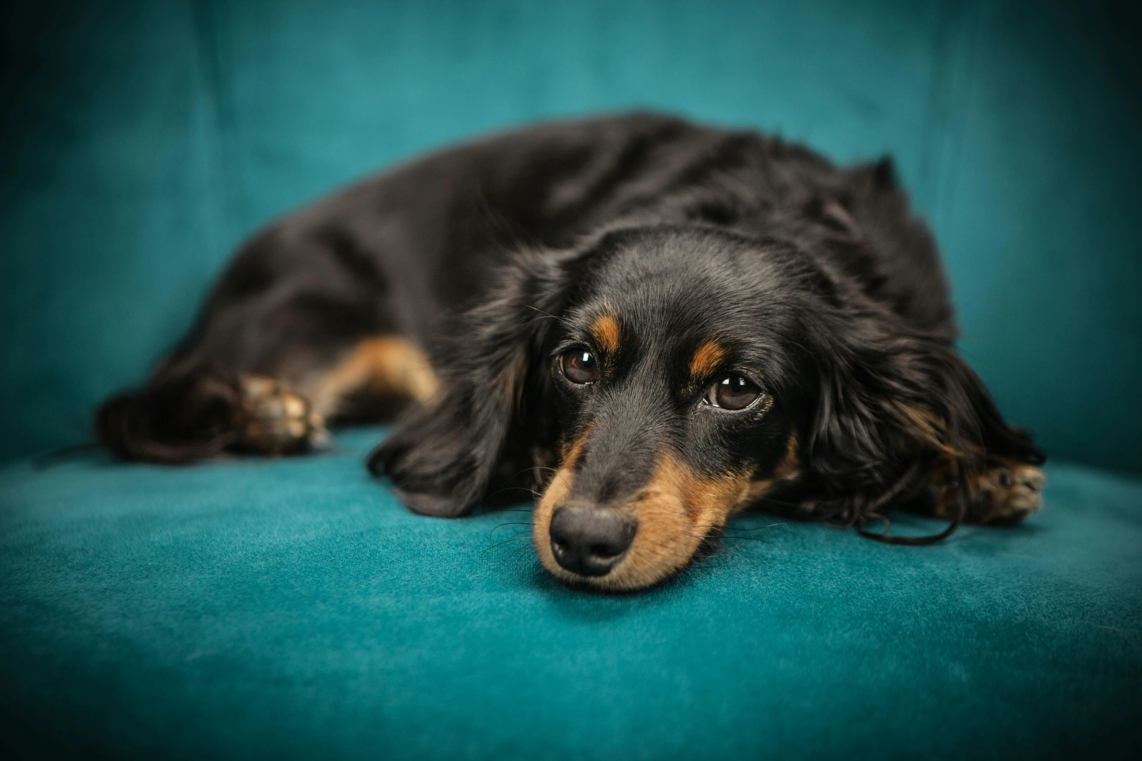 Style That Speaks Your Language